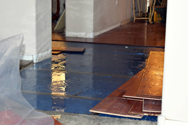 Professional Burst Pipe Cleanup technician working in Chicopee, MA